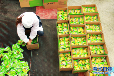 彭水农产品加工企业赶制订单忙 特色农业助力乡村振兴