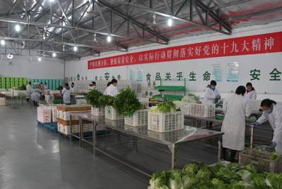 市委书记高宏志莅临雨垌农产品配送中心参观指导 为民生“菜篮子”注入发展信心