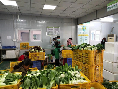 多措并举，畅通产销坦洲镇助力农企农户拓宽产品销路