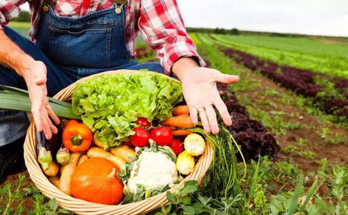 从“认证”到“承诺” 农业农村部推行农产品合格证制度的意义与展望