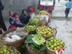 元阳县农产品信息网 助力农业发展的数字平台