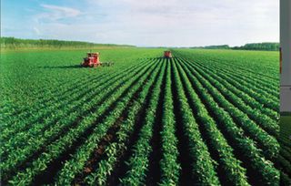 万旺生态农业科技股份公司 整合高科技农业与特色产业，打造全链条农产品生态体系